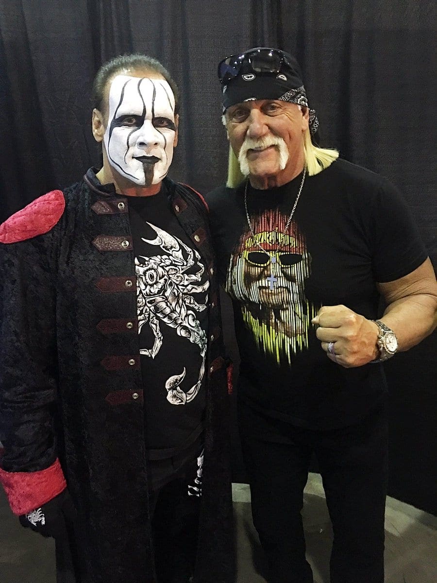 Sting & Hulk Hogan Reunite at Comic Con