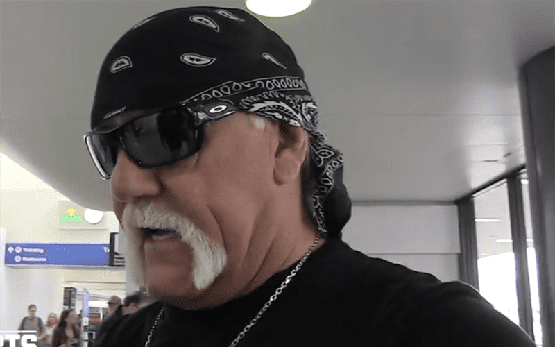 Hulk Hogan Says He’s Forever Sorry for Racist Remarks