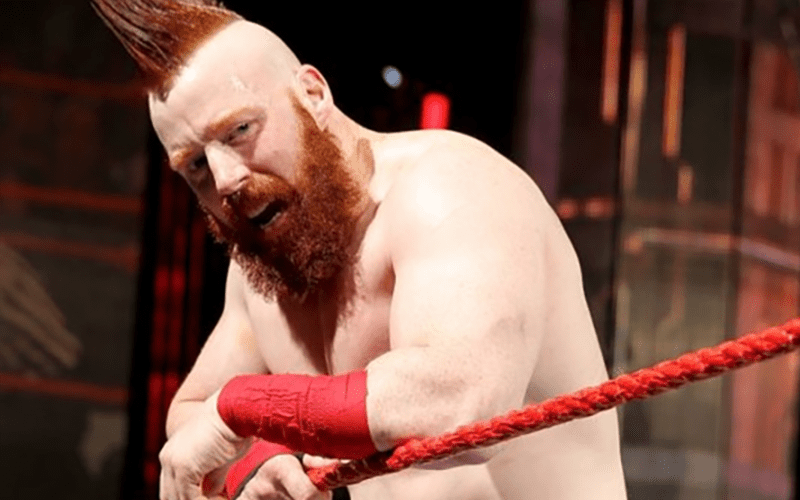 Reason Why Sheamus Is Able to Wrestle With Spinal Stenosis