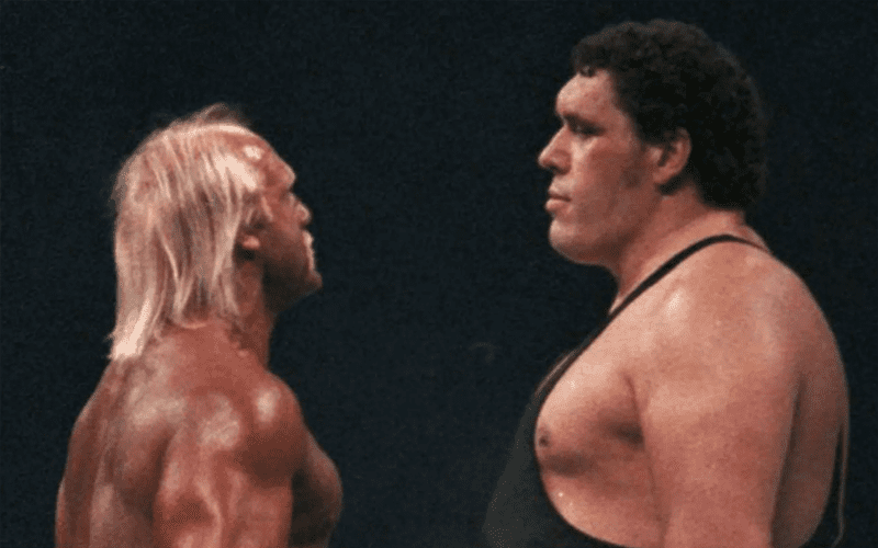 Hulk Hogan Recalls Andre The Giant Roughing Him Up in New Deleted Documentary Scene