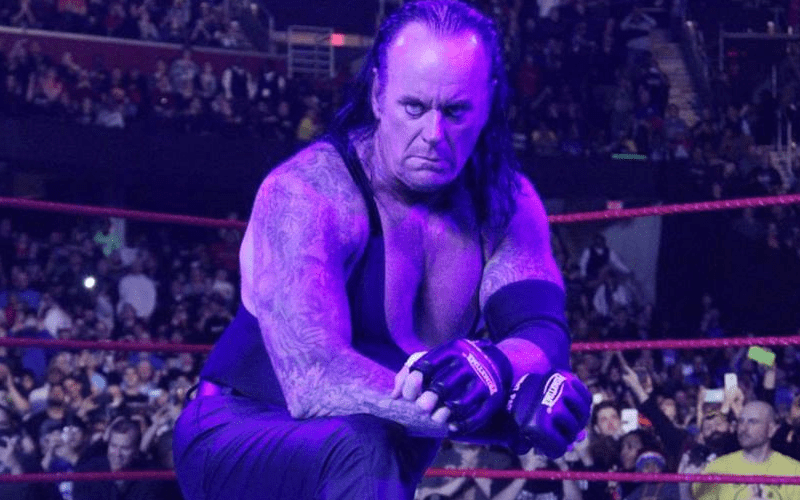 The Undertaker Reportedly Offered SummerSlam Storyline & Match