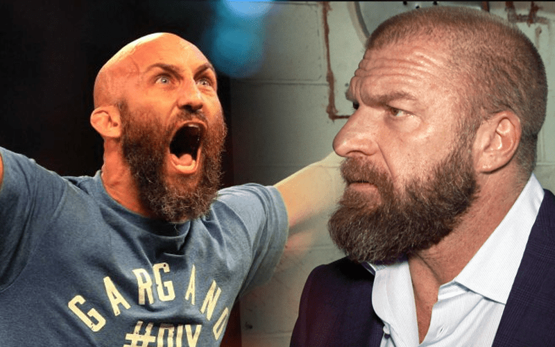 Tommaso Ciampa Calls Triple H Dad And Wants A Title Match