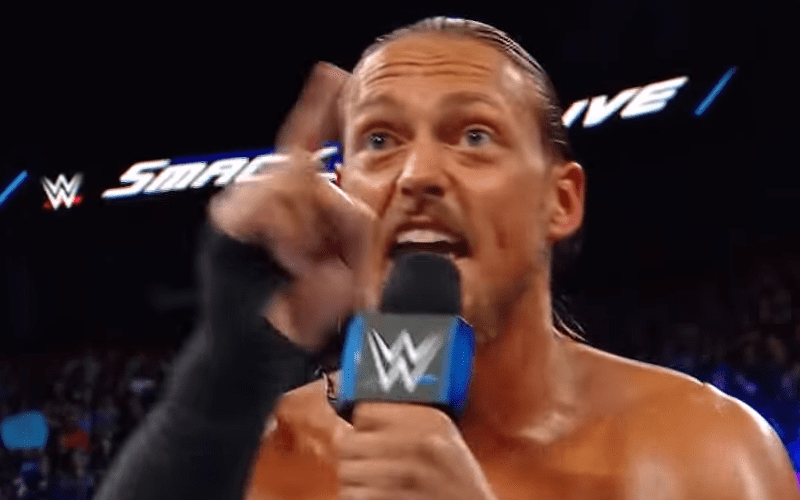 Translation of What Fans Were Chanting at Big Cass on SmackDown