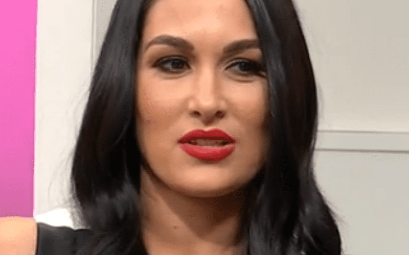 Brie Bella Says Daniel Bryan Wants to Try for a Second Baby