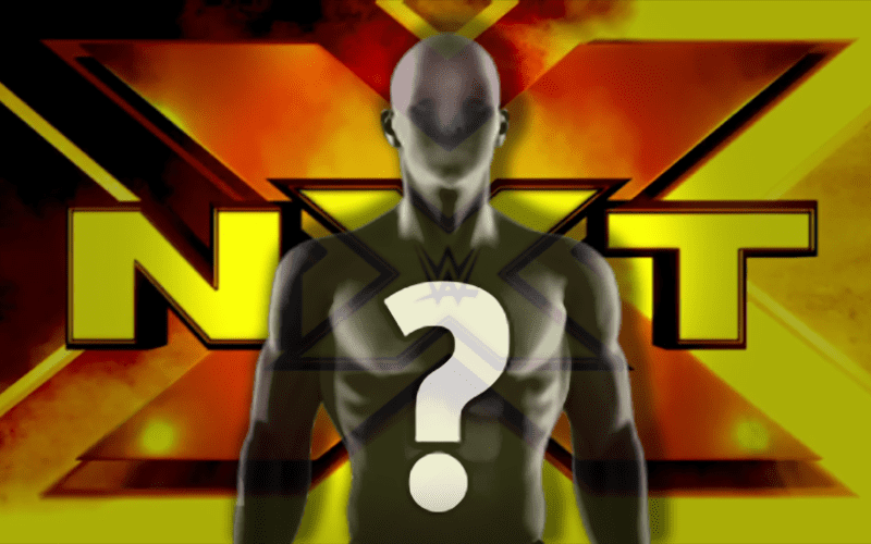 WWE Releases NXT Talent