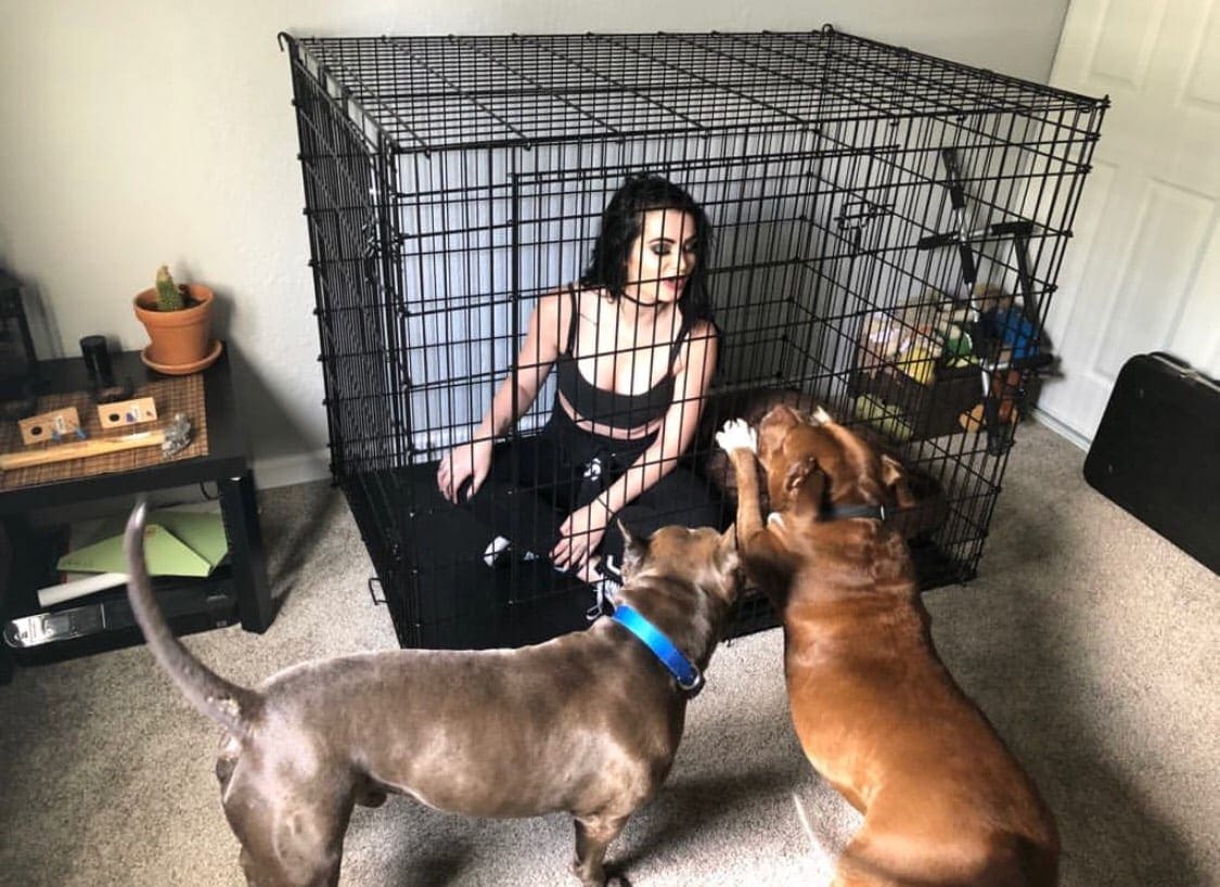 Watch Paige Lock Herself In A Cage To Confuse Her Dogs