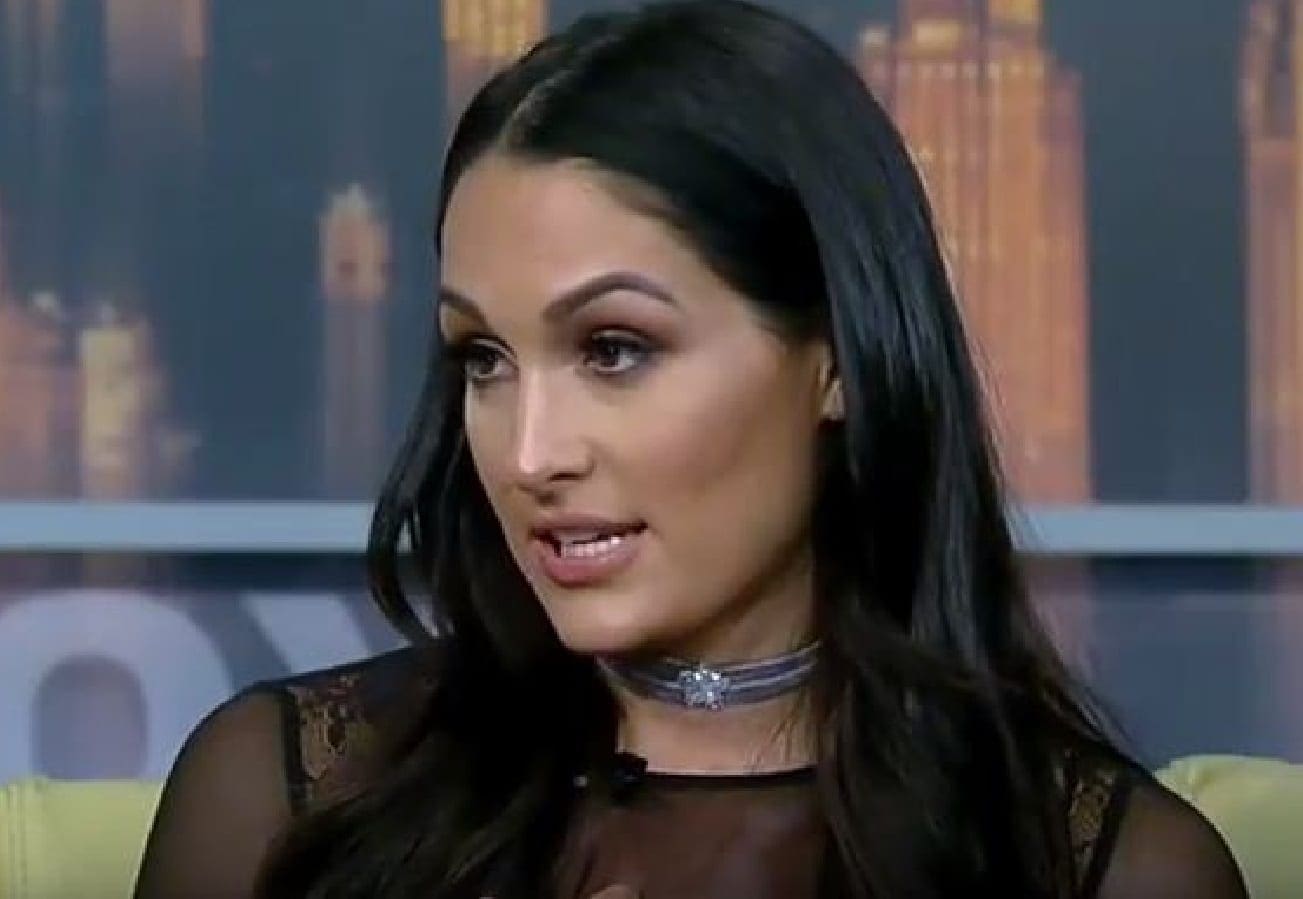 Nikki Bella Frustrated By Being Known as John Cena’s Girlfriend