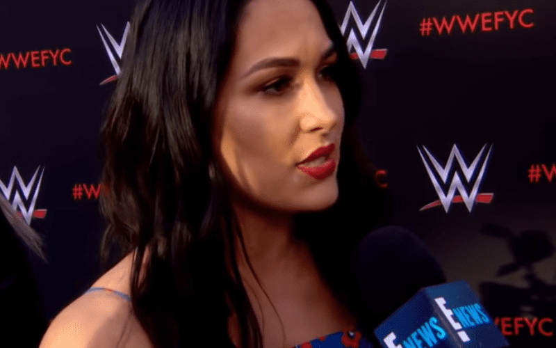 Brie Bella Delivers Message to Cyber Bullies Following Botched Spot on RAW