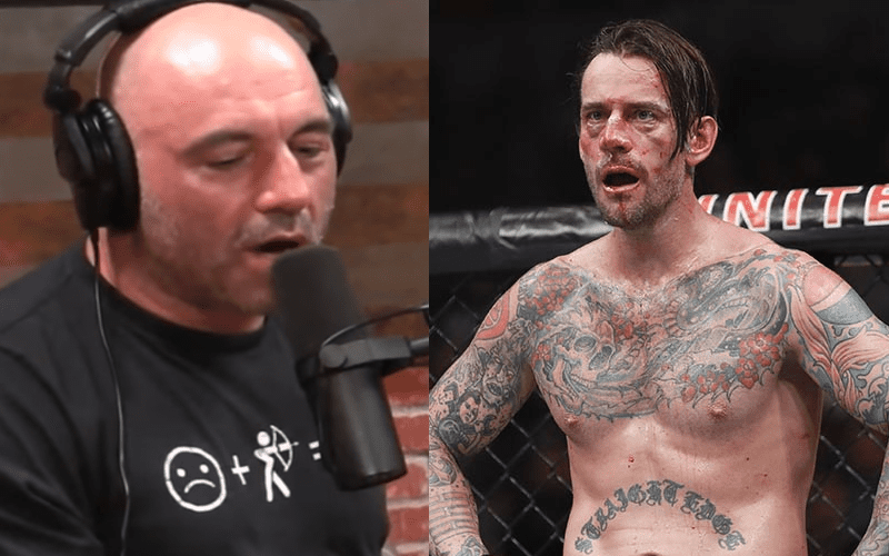 Joe Rogan Shoots on CM Punk’s UFC 225 Fight — He Doesn’t Have Any Talent!