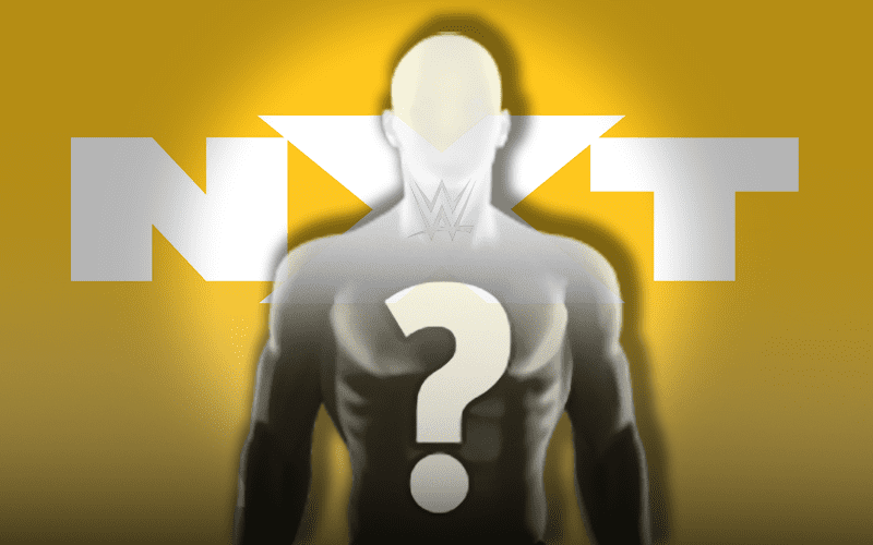 New WWE NXT Announce Team Member Revealed