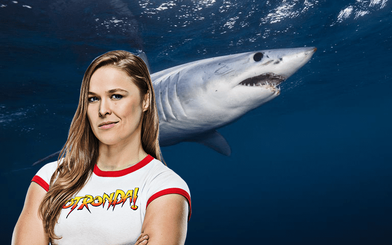 What Is Ronda Rousey’s Role in Shark Week This Year?