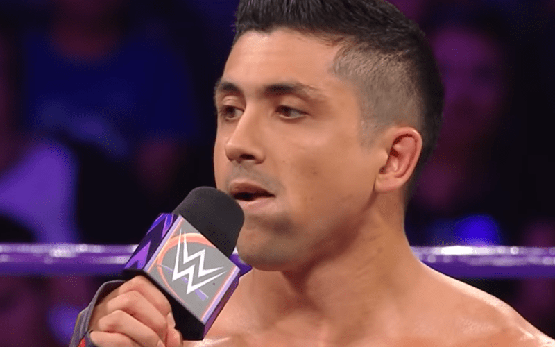 TJP Continues to Tease Brand Change