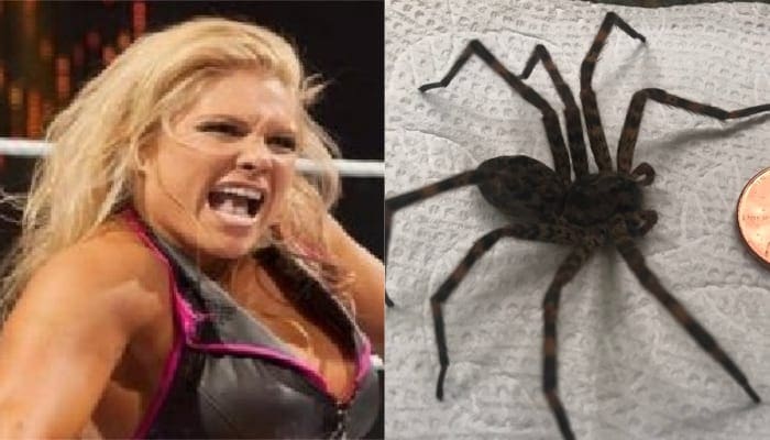 WWE Hall Of Famer Makes Horrifying Discovery