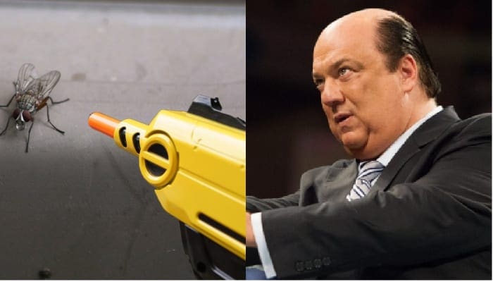Paul Heyman Would Rather Watch The Commercials Than Raw