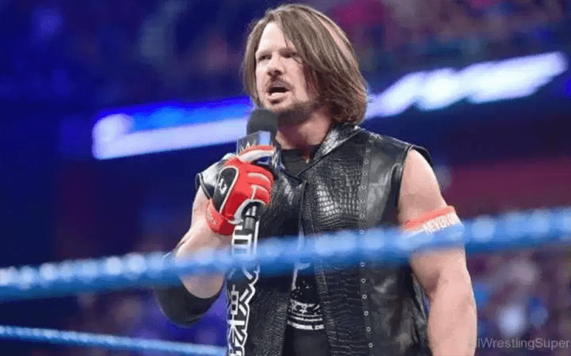 AJ Styles Smartens Up A Fan Who Believes that The Young Bucks Shouldn’t Be In WWE