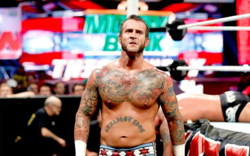 ‘Something Else to Wrestle’ Covering CM Punk In Season Finale