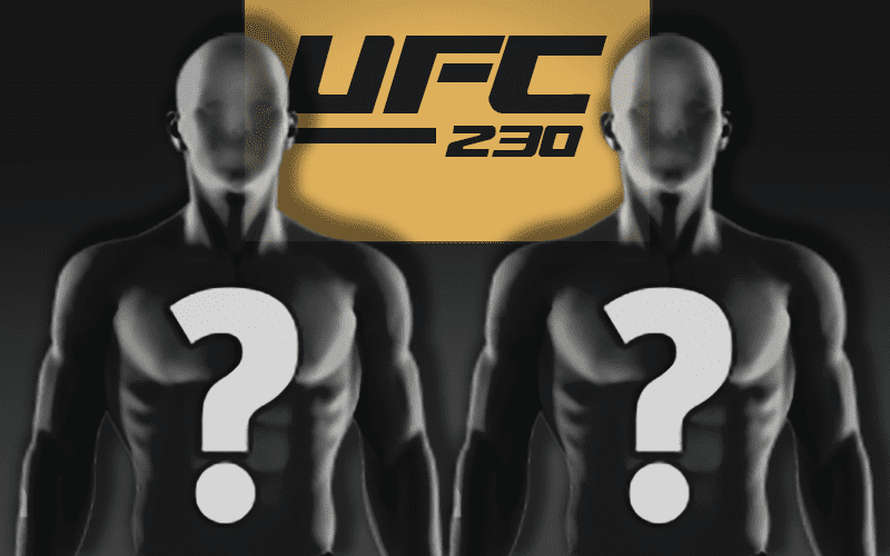 Fight Set for UFC 230