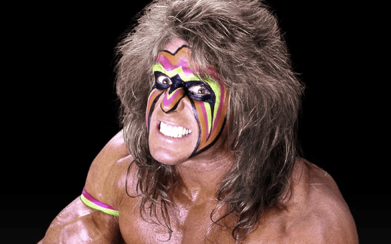 Dana Warrior Claims She Was Visited By The Ultimate Warrior’s Spirit