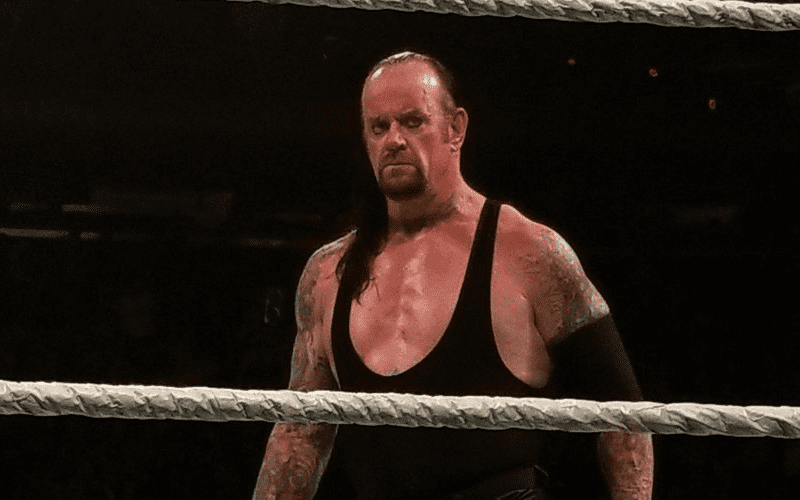 Watch The Undertaker Make His In-Ring Return At MSG