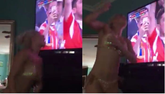 Lana Almost Cheers Her Top Off While Watching World Cup