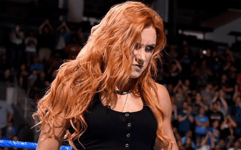Becky Lynch Calls Other Top Wrestlers Dopes She Wants To Slap