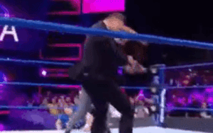 Watch Brie Bella Return & Punch The Miz In The Face