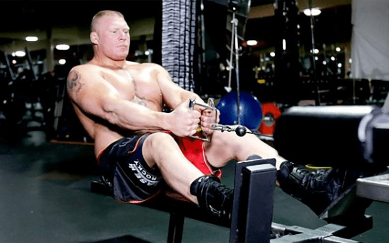 Brock Lesnar Already Training for Next UFC Fight