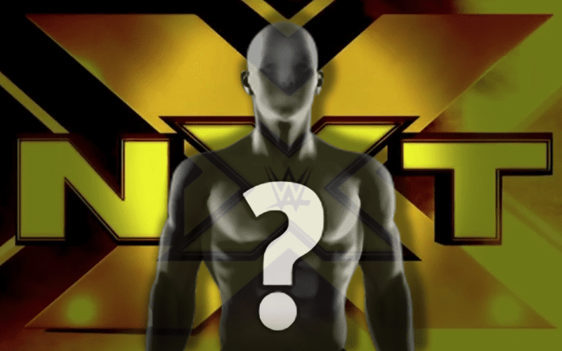 NXT Wrestler Accused of Being Homophobic