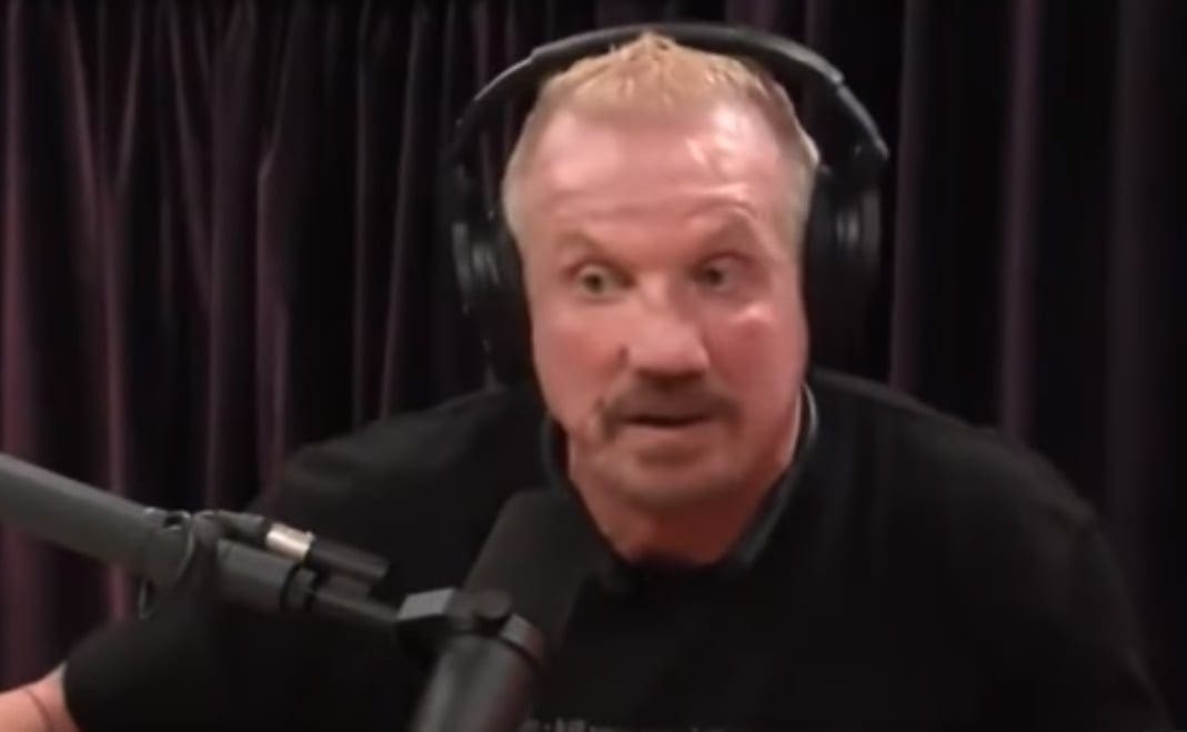 DDP Shoots On Pro Wrestling Injuries With Joe Rogan
