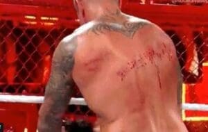 Randy Orton Lacerated Several Times During Hell In A Cell