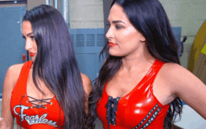 The Bella Twins Explain Why They Attacked Ronda Rousey on RAW
