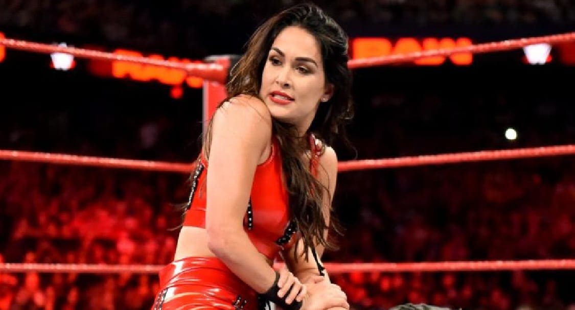 Brie Bella Involved In Another Botched Spot On Raw — But You Might Have Missed It