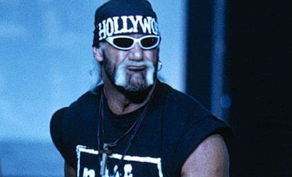 Who Hulk Hogan Borrowed From To Create The Hollywood nWo Look