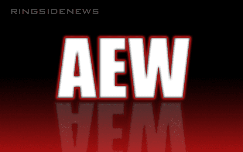 Chris Jericho and Jim Ross May Not Be in Management of AEW Promotion