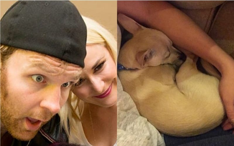 Renee Young On Crazy Process To Adopt A Puppy Dean Ambrose Picked While He Was Gone