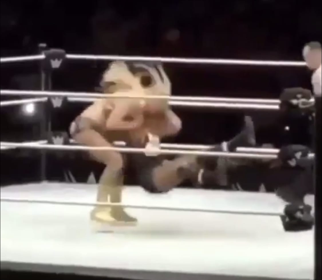 Becky Lynch Hits Stone Cold Stunner On Charlotte Flair At WWE Live Event