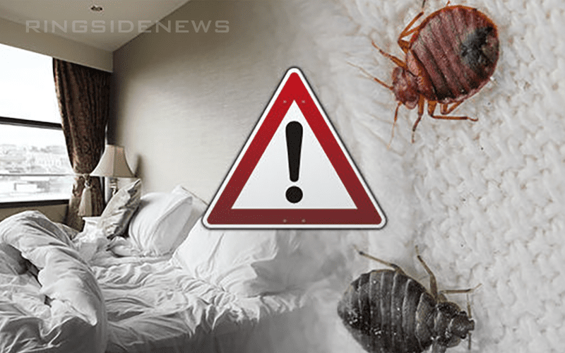 Popular Indie Wrestler Experiences Bedbug Nightmare At 5-Star Resort