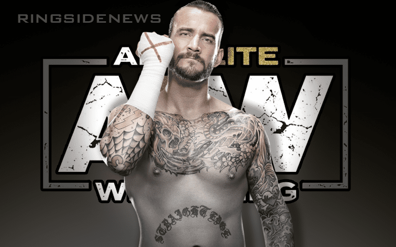 All Elite Wrestling Has Reportedly Made A Call To CM Punk