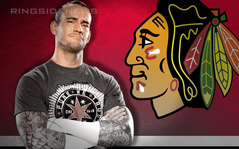 CM Punk Wants To Join NHL Chicago Blackhawks Announce Team