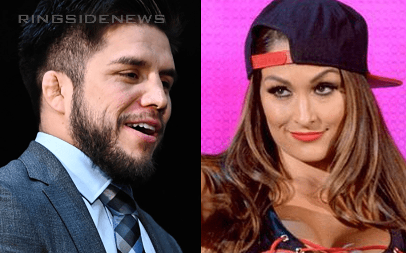 Nikki Bella Is Very Open To Dating UFC Flyweight Champion Henry Cejudo