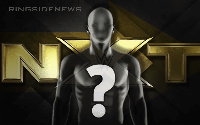 SPOILER Injury Return At Latest NXT Television Tapings