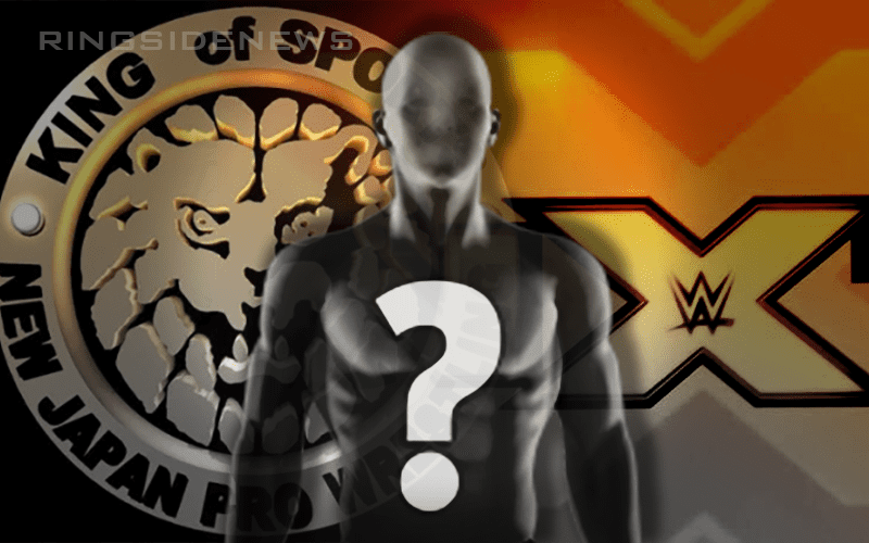 New WWE NXT Superstar Signed With Company After Japan Didn’t Work Out