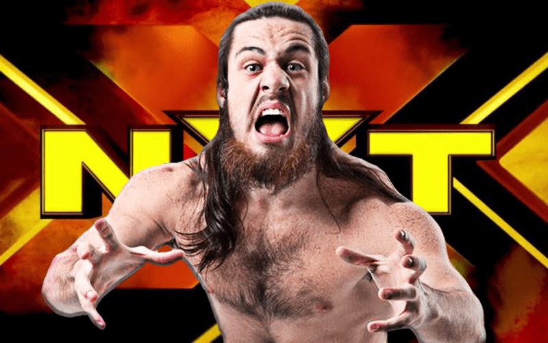 Indication of How Long WWE Has Been Interested in Trevor Lee