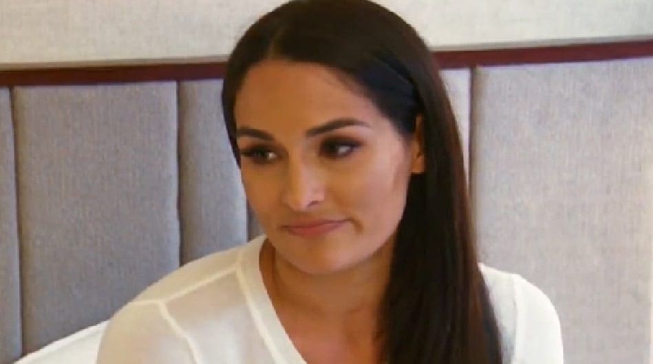 Nikki Bella Is Not Dating Any More WWE Superstars