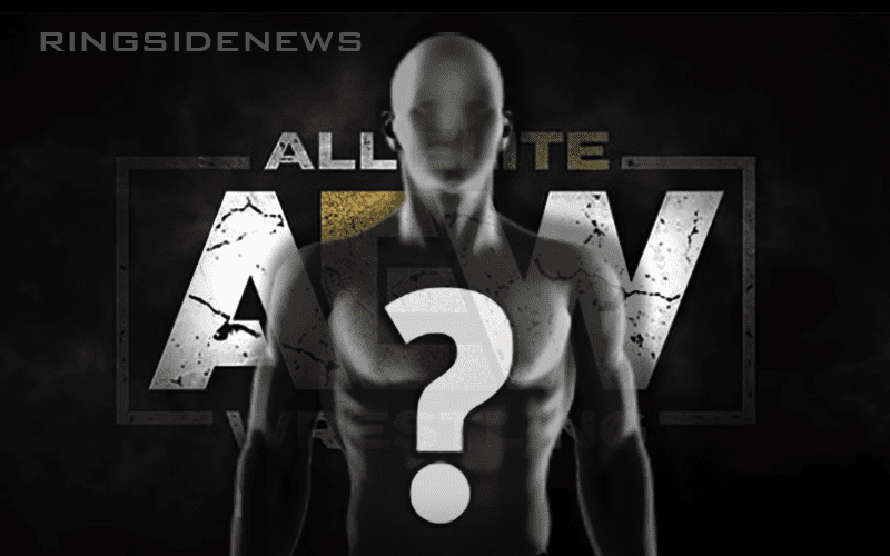 Former WWE Superstar Possibly Teasing AEW Debut