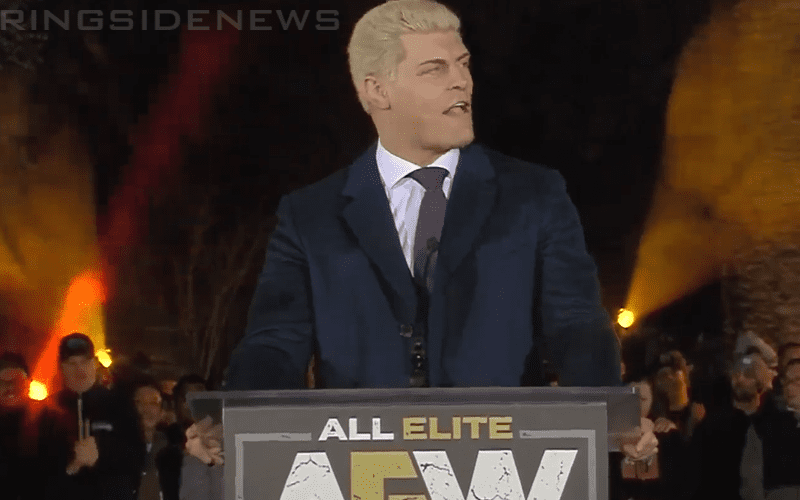 Fan Seemingly Caught Touching Himself During Cody Rhodes’ Speech At AEW Rally