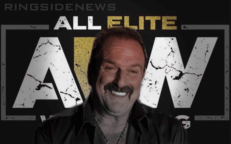 Jake Roberts Says AEW Could Benefit From His Experience