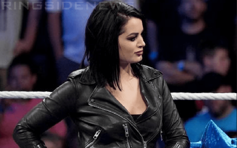 Paige Defends Her Right To Celebrate The Fourth of July