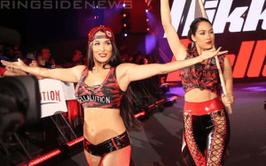 Brie Bella Says WWE Evolution Was The Perfect End For Her Career