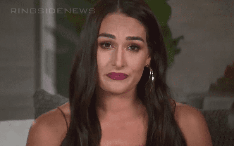 Nikki Bella Worries Fans About Trouble In Her Current Relationship